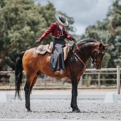 Nicole Silva riding a Lusitano horse.