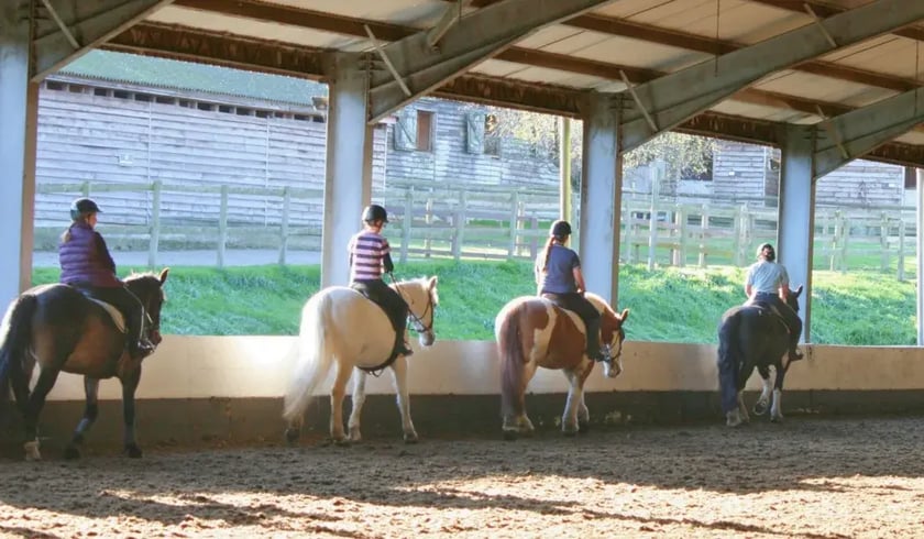 Horse Riding London for Beginners