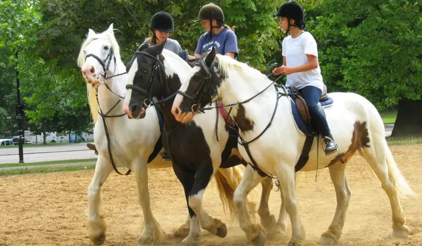 Horse riding for beginners in london