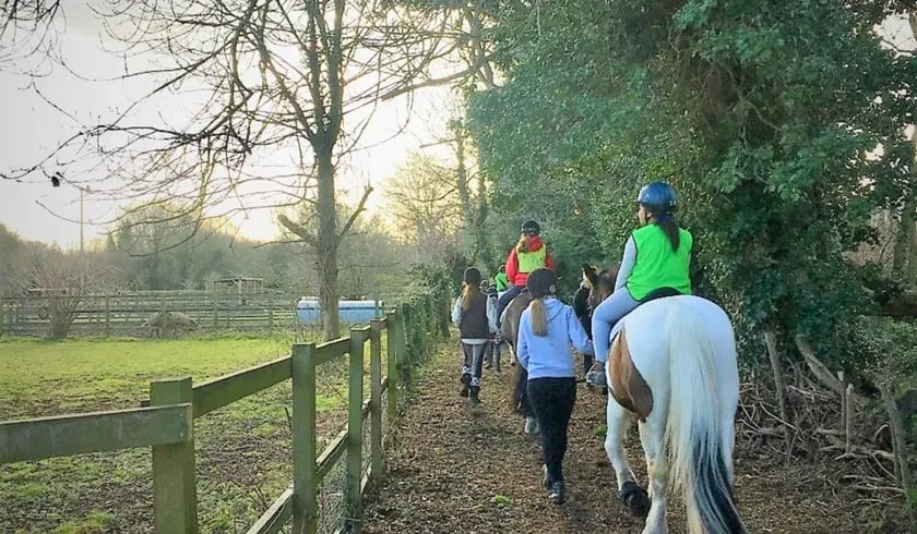 horse riding beginners