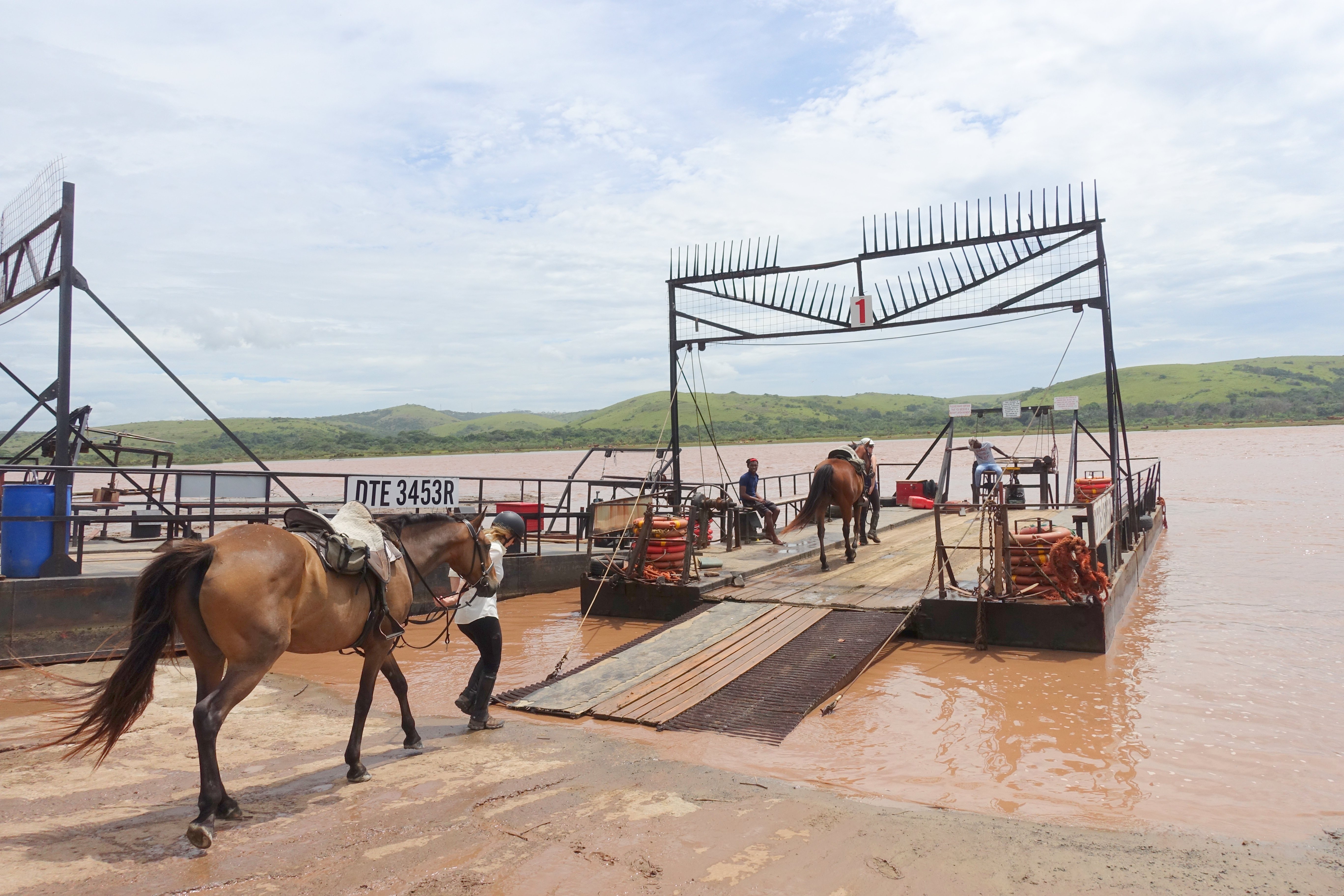 Leading the Horses on Board Ready to Begin an Exhilarating Trail Ride