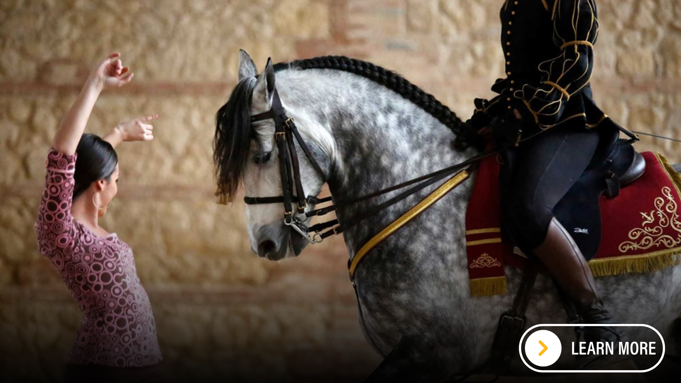 Spanish dancing alongside an Andalusian horse.