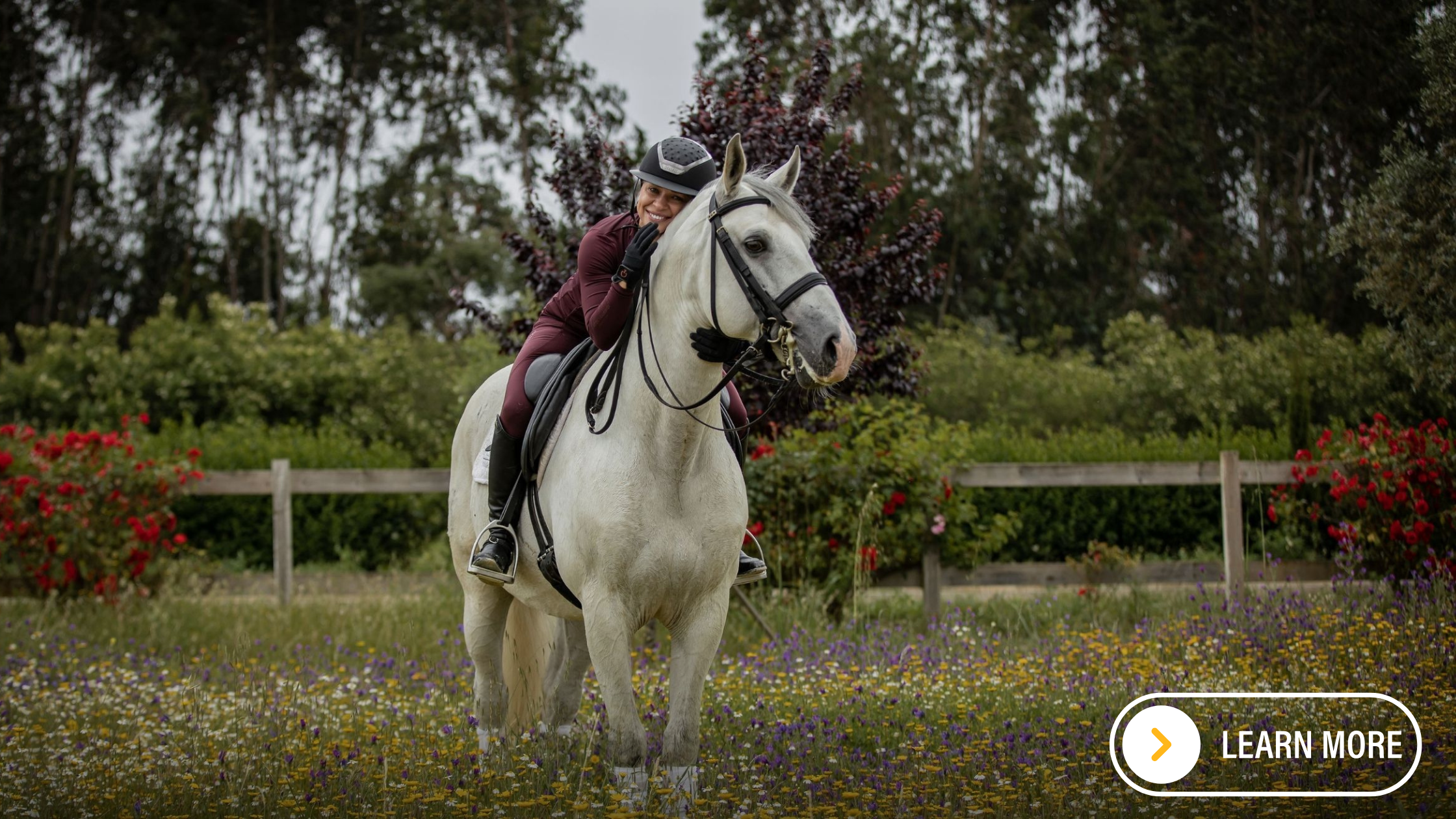Lady hugging grey Lusitano.
