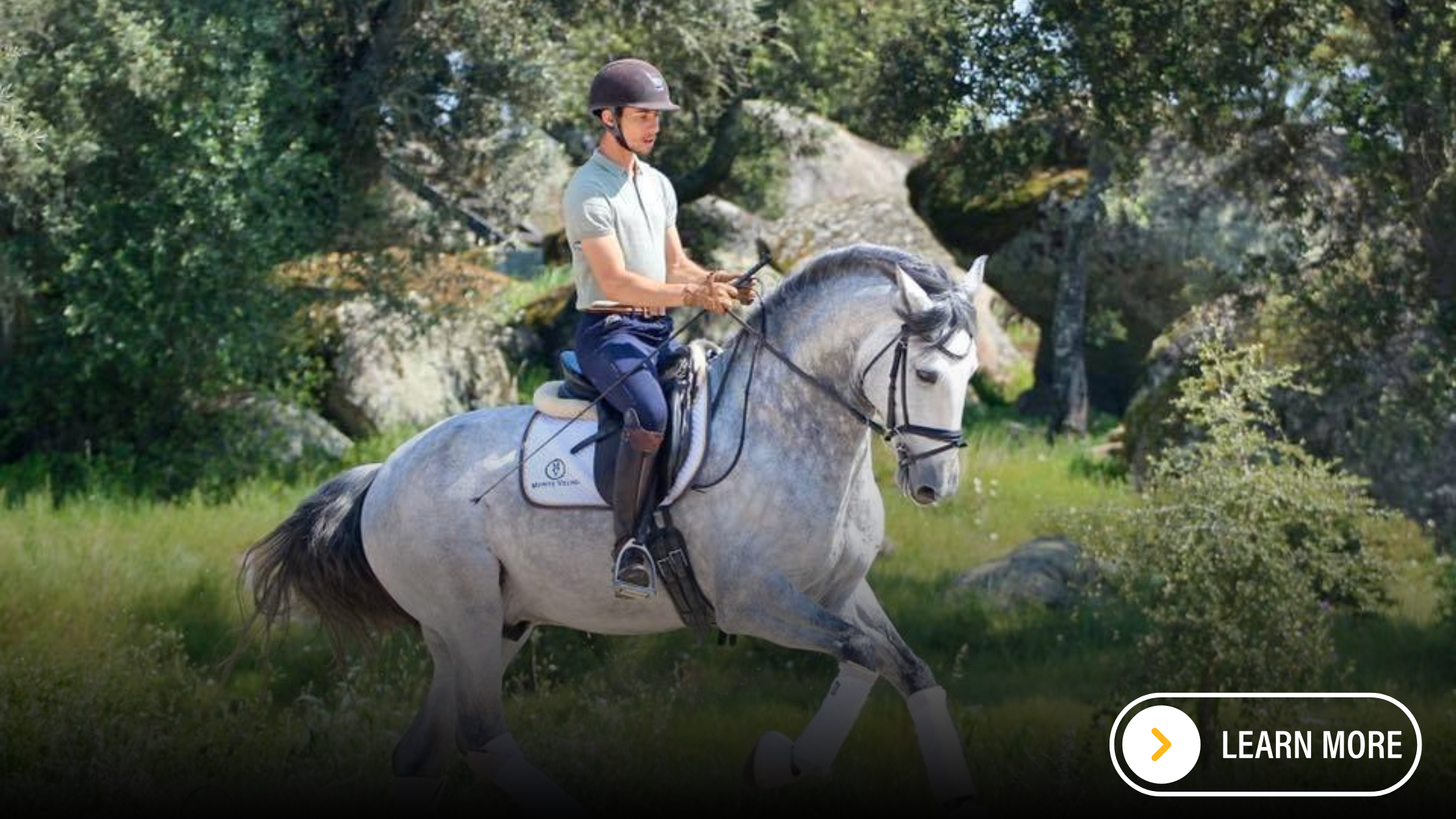 Rider doing dressage on a grey Lusitano.