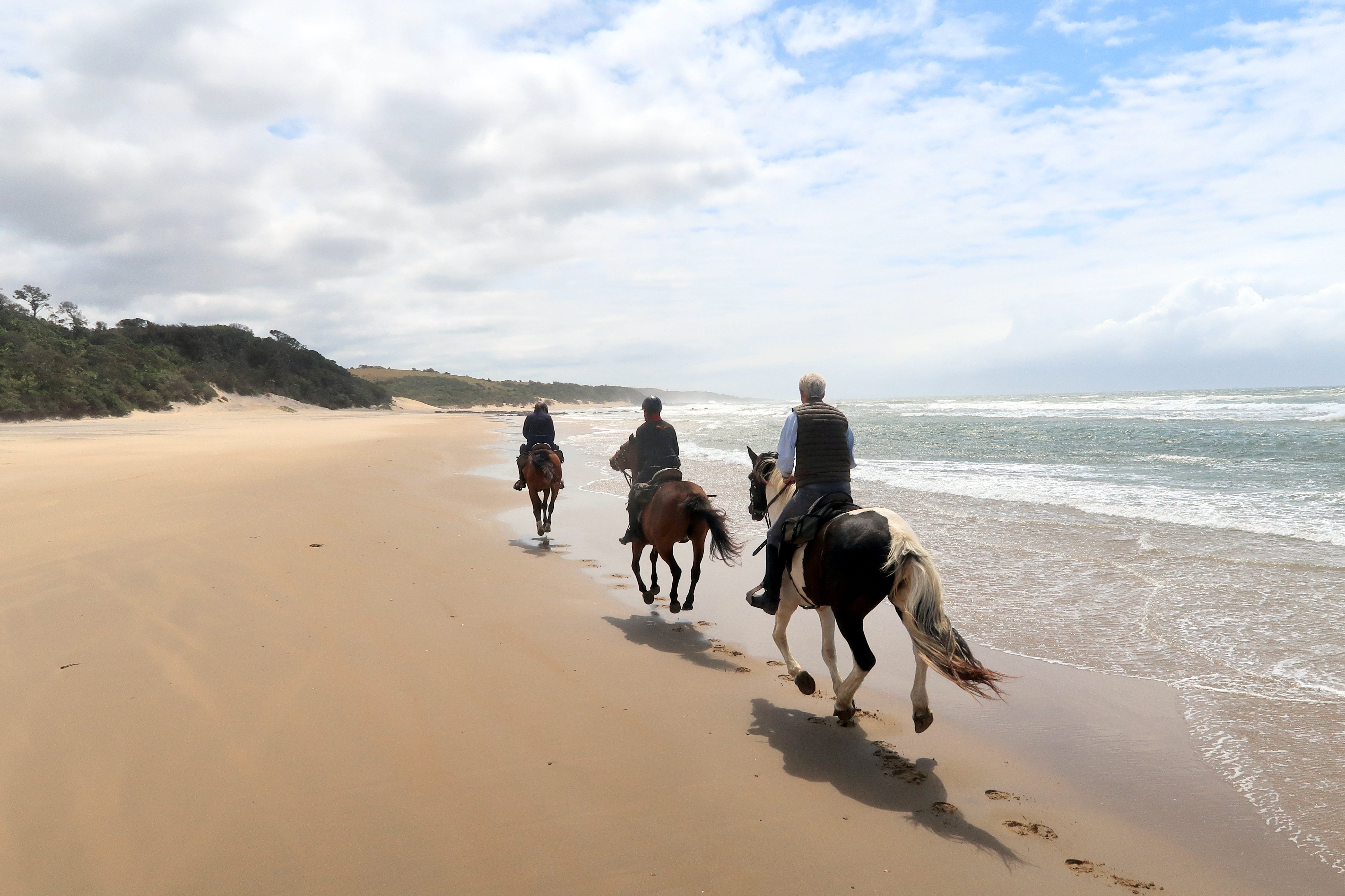 South Africas Wild Coast Trail Ride Beach Ride Horseback