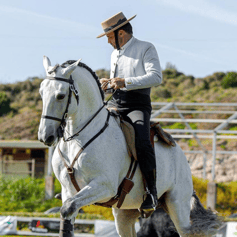 Gilberto Filipe riding a Lusitano horse.