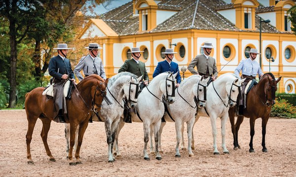 dt-01-dressage-jerez-equestrian-art
