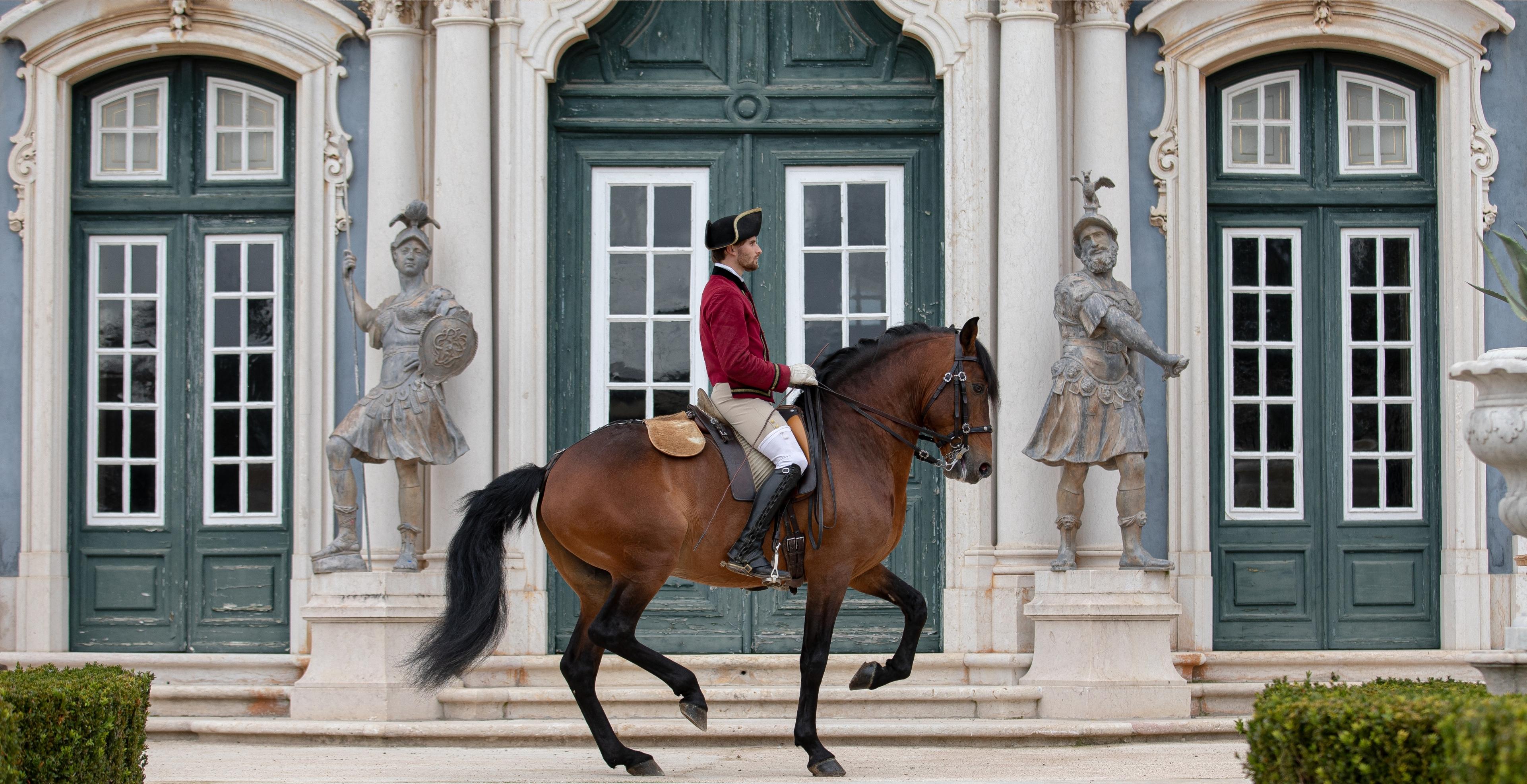 The Cadre Noir - Royal Horse