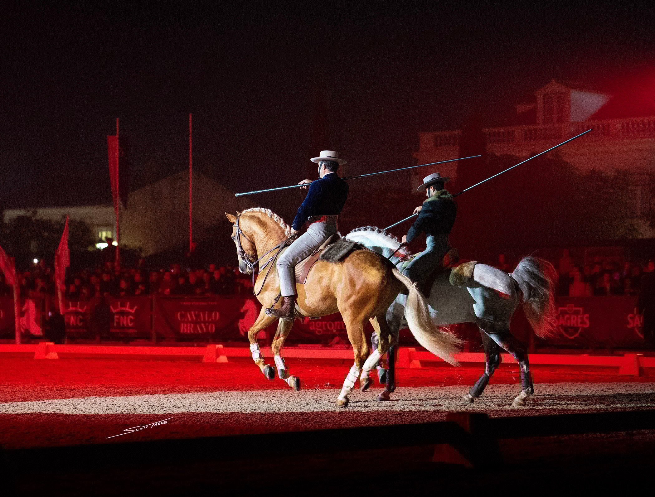 Golegã Horse Fair 2025